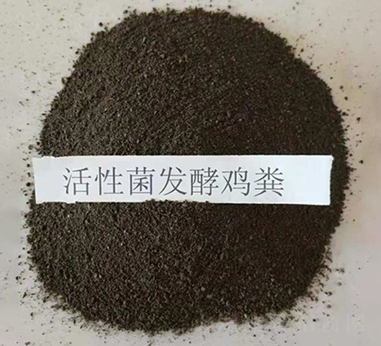 ���Ծ��l(f��)���u�S-���|�ʘI(y��)