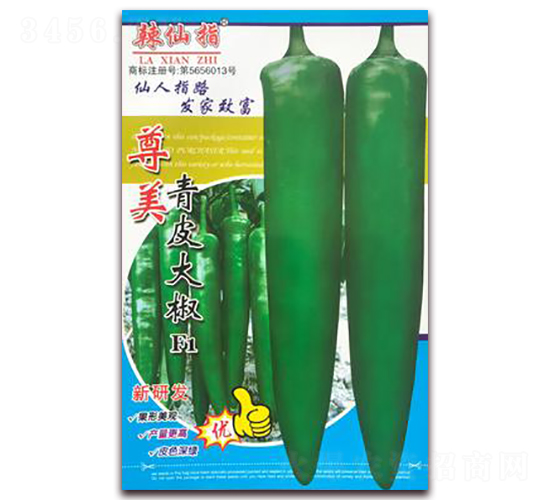 ����-�����N��-�A�~