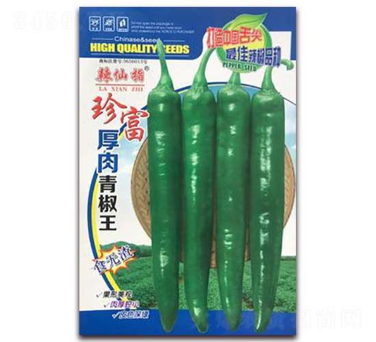 �主-�����N��-�A�~