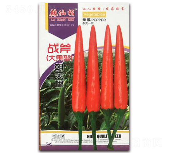 ��(zh��n)��-�����N��-�A�~