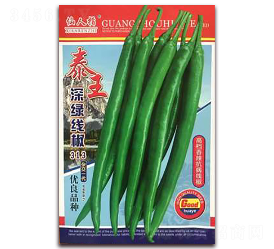 ̩��-�����N��-�A�~