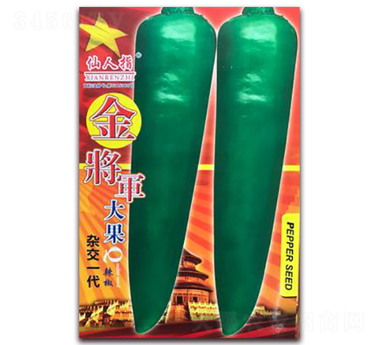 ����܊-�����N��-�A�~