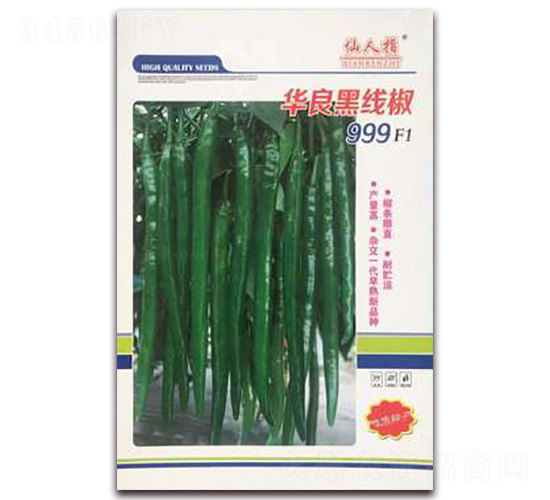 �A���ھ���-�����N��-�A�~