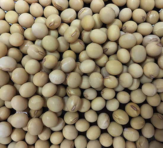 ���r(n��ng)8̖-�󶹷N��-�|��