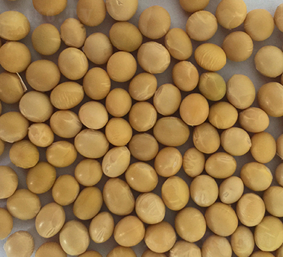 �_��12̖-�󶹷N��-�|��