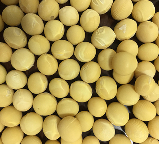 �|��027-�󶹷N��-�|��