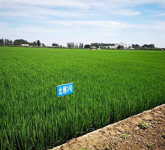 ����3̖-ˮ���N��-�|��