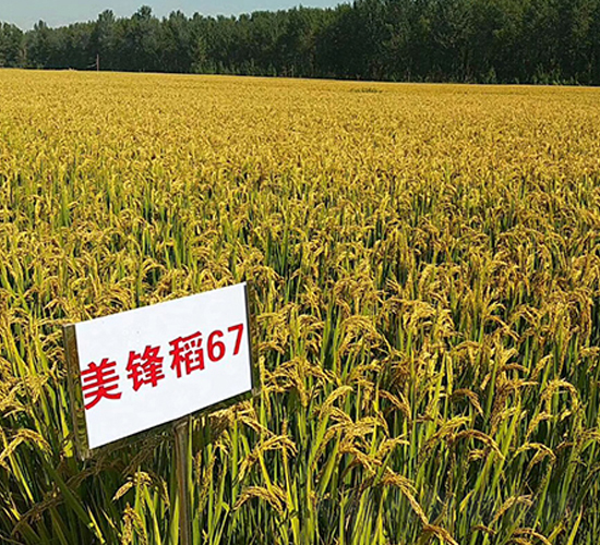 ���h��67-ˮ���N��-�|��