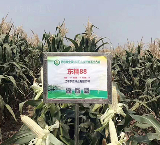 �|Ŵ88-���׷N��-�|��