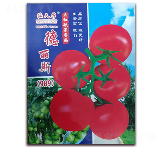 ����˹989-���ѷN��-�A�~