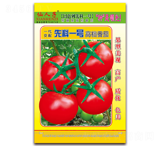 �ȿ�һ̖-���ѷN��-�A�~