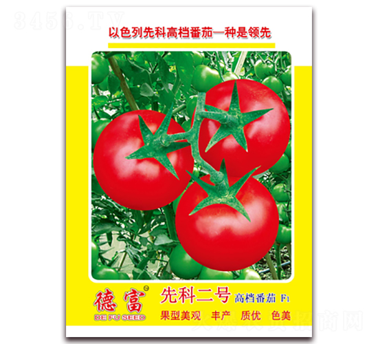 �ȿƶ�̖-���ѷN��-�A�~