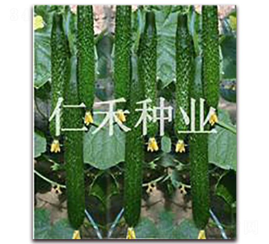 �ʺ�009-�S�ϷN��-�ʺ̷N�I(y��)