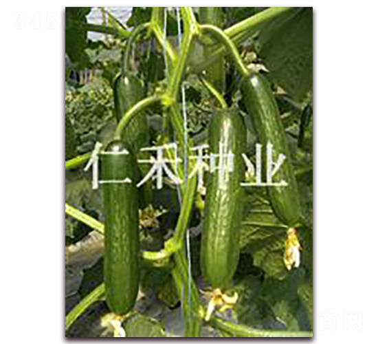 ���񣨸߿�������-�S�ϷN��-�ʺ̷N�I(y��)