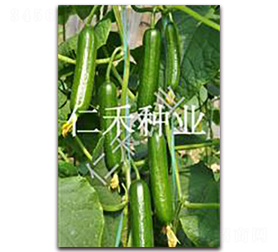 �и�-�S�ϷN��-�ʺ̷N�I(y��)