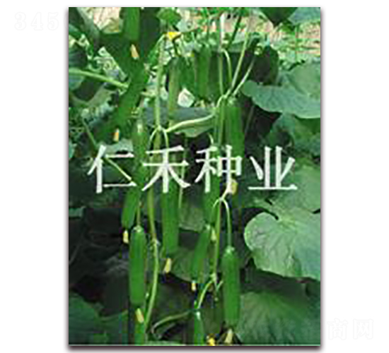 ���ᣨTONY��-�S�ϷN��-�ʺ̷N�I(y��)