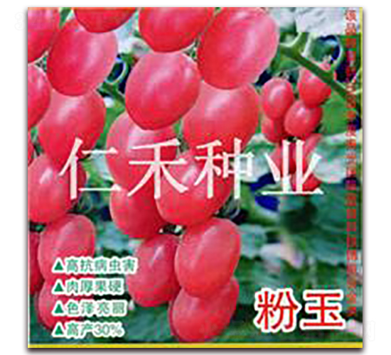 ����-���ҷ��ѷN��-�ʺ̷N�I(y��)