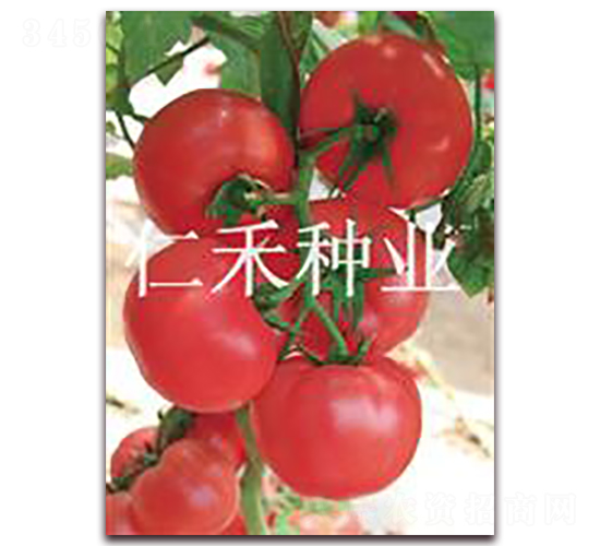 �۠�ԪF7-�۹����ѷN��-�ʺ̷N�I(y��)