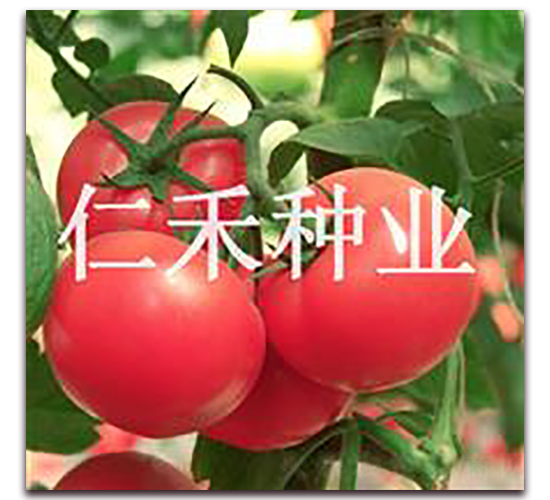 �ϊW�ɡ��۹����ѷN��-�ʺ̷N�I(y��)