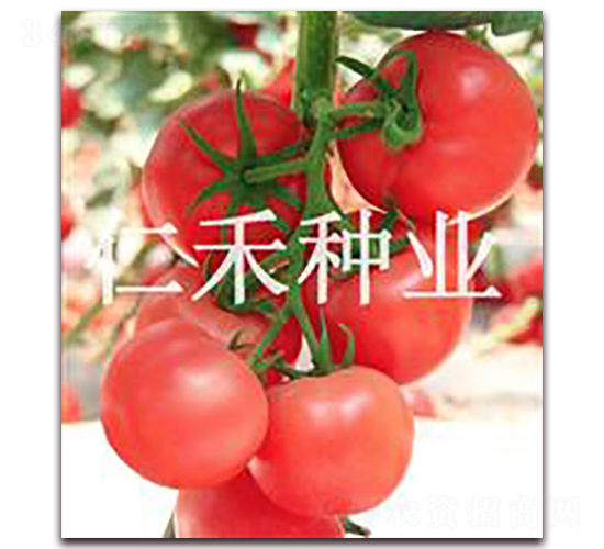 �۠�ԪF6-�۹����ѷN��-�ʺ̷N�I(y��)