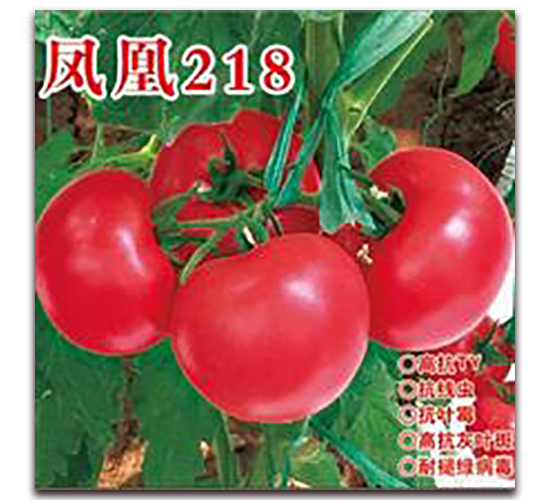 �P��218-�۹����ѷN��-�ʺ̷N�I(y��)