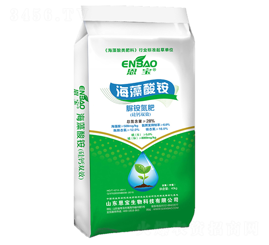 �������@2̖-����