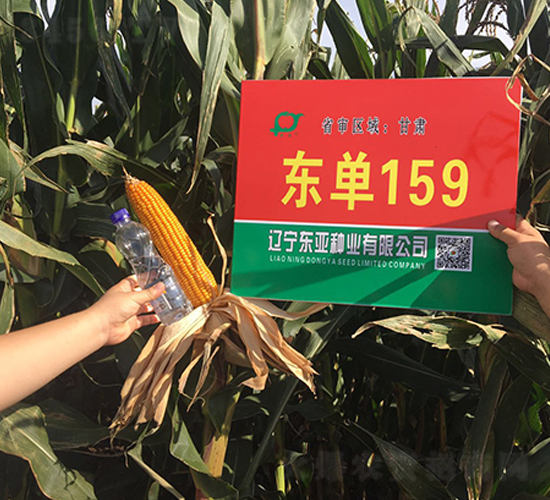 �|��159-���׷N��-�|��