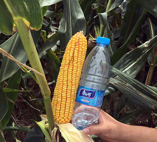 �|��719-���׷N��-�|��