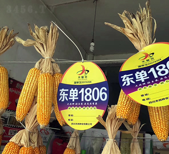 �|��1806-���׷N��-�|��