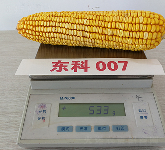 �|��007-���׷N��-�|��