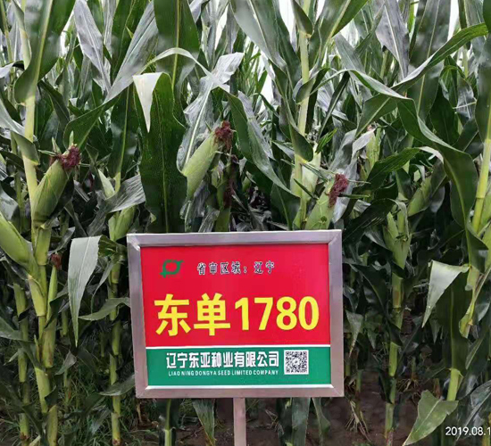 �|��1780-���׷N��-�|��