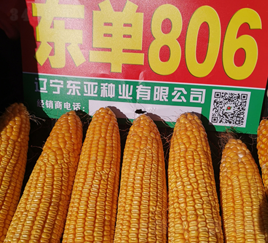 �|��806-���׷N��-�|��