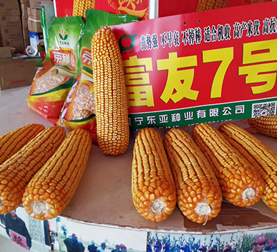 ����7̖-���׷N��-�|��