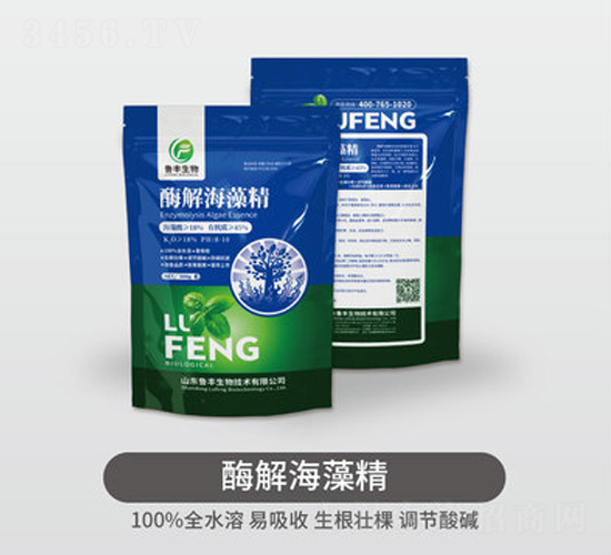 ø�⺣�徫-���S��Դ��