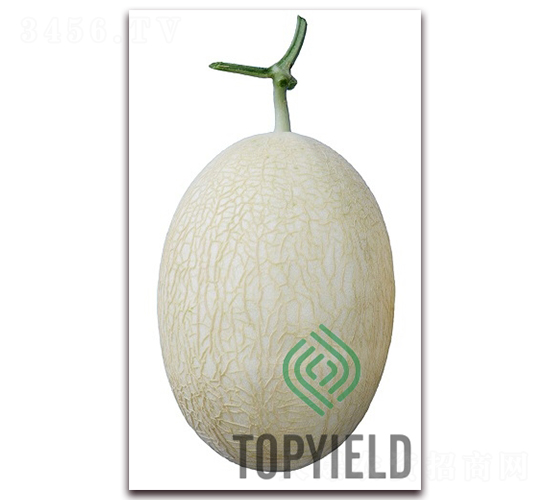 ���7̖-��ϷN��-�S�ǷN�I(y��)