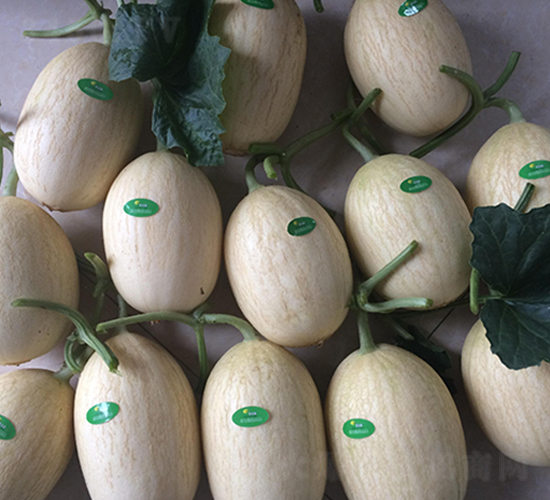 ���5̖-��ϷN��-�S�ǷN�I(y��)