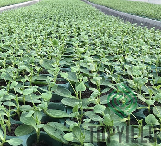 ˼?j��)?̖(h��o)-��ľ�N��-�S�ǷN�I(y��)