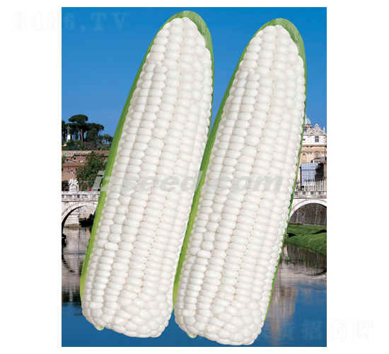 ���ƾ�Ŵ-���׷N��-�F(xi��n)���N�I(y��)