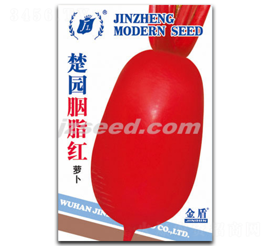 ���@��֬�t-�}���N��-�F(xi��n)���N�I(y��)