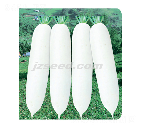 �y��707-�}���N��-�F(xi��n)���N�I(y��)