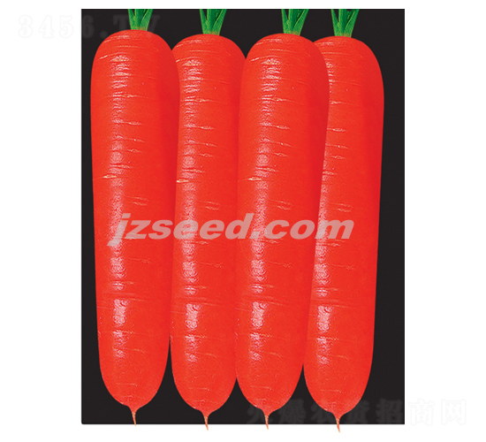 �t��809��S-���}���N��-�F(xi��n)���N�I(y��)