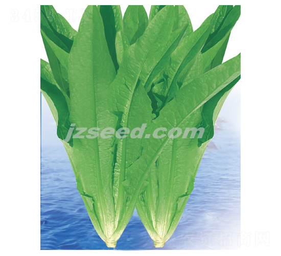 ���߮a(ch��n)����-�����˷N��-�F(xi��n)���N�I(y��)