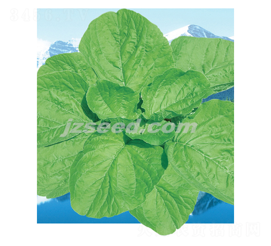 ̩��(gu��)���S�{��-�{�˷N��-�F(xi��n)���N�I(y��)