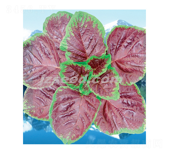 ���@��t�{��-�{�˷N��-�F(xi��n)���N�I(y��)