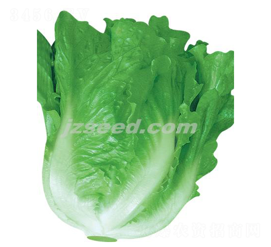 �ă�(y��u)�ļ�-���˷N��-�F(xi��n)���N�I(y��)