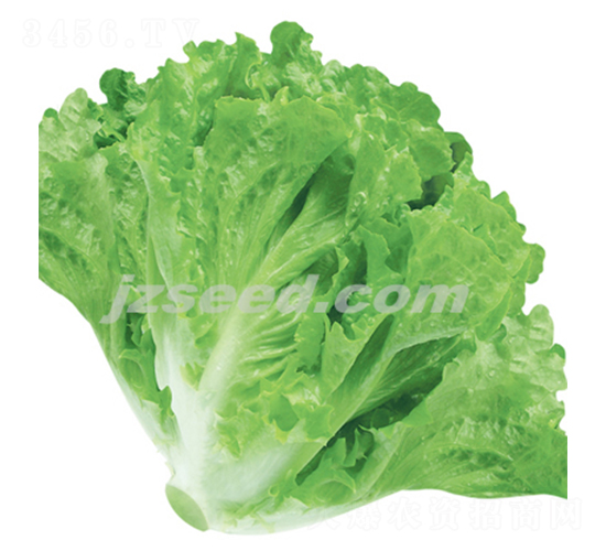 ��������-���˷N��-�F(xi��n)���N�I(y��)