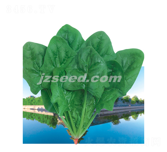 ���ܲ���-���˷N��-�F(xi��n)���N�I(y��)