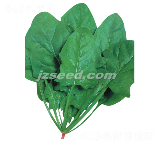 ��ʿ��ɏ��-���˷N��-�F(xi��n)���N�I(y��)