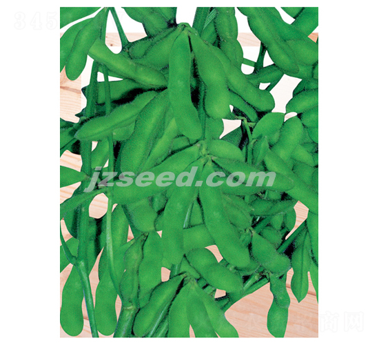 �����̖-ë���N��-�F(xi��n)���N�I(y��)