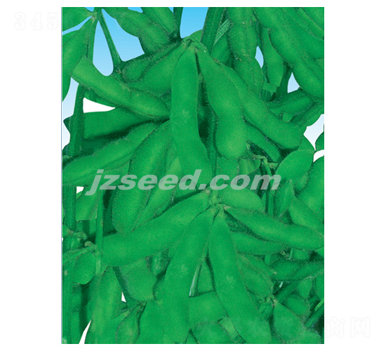 ���rһ̖-ë���N��-�F(xi��n)���N�I(y��)